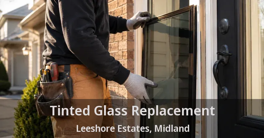 Tinted Glass Replacement Leeshore Estates, Midland - ON